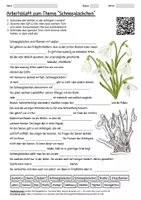 Vorschau - Arbeitsblätter - Arbeitsblatt "Schneeglöckchen" + Onlineübung & MP3 + Infografik - Deckblatt