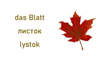 Vorschau - Fördermaterial/Inklusion - Deutsch-Ukrainisch: Herbst 32 Bild-Wortkarten - Seite 3
