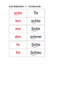 Vorschau - Arbeitsblätter - Kombidetektiv "Sch sch" - Wörter (Druckschrift farbig) - Seite 3
