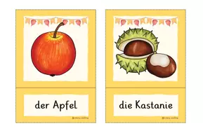 Vorschau - Fördermaterial/Inklusion - Herbst - Bildkarten - Seite 2