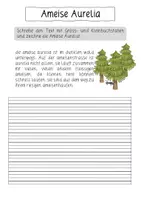 Vorschau - Arbeitsblätter - Abschreibtexte_Gesamtpaket - Seite 2