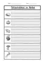 Vorschau - Arbeitsblätter - Schleichdiktat im Herbst - Klasse 2 - Farbig / Schwarz-weiß - Deckblatt