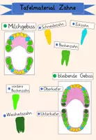 Vorschau - Präsentationen/Tafelbilder - Tafelmaterial Zähne - Seite 1