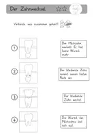 Vorschau - Arbeitsblätter - Der Zahnwechsel - dreifach differenzierte Arbeitsblätter - Seite 3