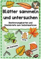 Vorschau - Arbeitsblätter - Blätter sammeln und untersuchen - Deckblatt