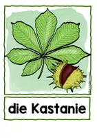 Vorschau - Arbeitsblätter - Blätter sammeln und untersuchen - Seite 2