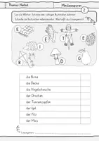 Vorschau - Arbeitsblätter - Minilesespur Herbst - Lesespuren - 5 Minilesespuren auf der Wortebene - Arbeitsblätter für Deutsch / DaZ - Seite 3