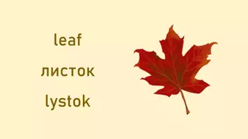 Vorschau - Fördermaterial/Inklusion - English-Ukrainian: Autumn 32 Picture-Wordcards - Seite 3