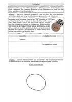 Vorschau - Arbeitsblätter - Materialpaket Hefepilze - Deckblatt