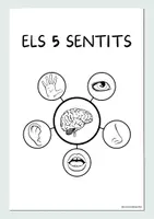 Vista previa - Hojas de trabajo - Paquet de materials - Els 5 sentits - Portada