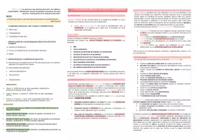Vista previa - Evaluación - Oposiciones Pedagogía Terapéutica: esquema tema 25 - página 1