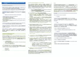 Vista previa - Evaluación - Oposiciones Pedagogía Terapéutica: esquema tema 25 - página 2