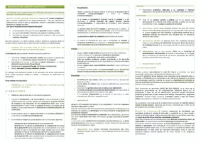 Vista previa - Evaluación - Oposiciones Pedagogía Terapéutica: esquema tema 25 - página 3