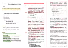 Vista previa - Tarjetas / Manipulativos - Oposiciones Pedagogía Terapéutica: esquema tema 10 - página 2