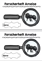 Vorschau - Arbeitsblätter - Forscherheft: Ameise - Seite 2