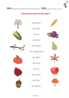 Vorschau - Arbeitsblätter - DaZ MATERIAL zum HERBST - Karten und Aufgaben - Seite 1