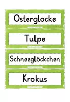 Vorschau - Arbeitsblätter - Materialpaket XXL Frühblüher #edukilights22 - Seite 3