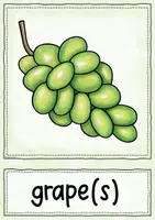 Vorschau - Poster - Fruit - 30 Flashcards für den Englischunterricht - Seite 3