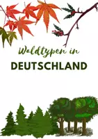 Vorschau - Stundenentwürfe - Waldtypen Cover - Deckblatt
