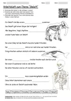 Vorschau - Arbeitsblätter - Arbeitsblatt "Skelett" + Onlineübung & MP3 + Infografik - Deckblatt