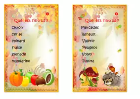Aperçu - Apprentissages en autonomie - Kit pédagogique sur les noms communs et les noms propres P3 - Page 2
