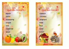 Aperçu - Apprentissages en autonomie - Français grammaire CAP Quel est l'intrus NC et N P P3 - Page 3