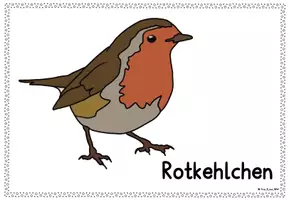 Vorschau - Präsentationen/Tafelbilder - Tafelkarten: "Vögel im Winter" - Seite 1