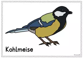 Vorschau - Präsentationen/Tafelbilder - Tafelkarten: "Vögel im Winter" - Seite 3