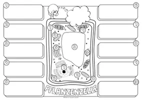Vorschau - Arbeitsblätter - Doodle-AB zum Aufbau der Zellen - Seite 3