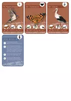 Vorschau - Stationenlernen - Quartett Tiere im Winter - Überwinterungsstrategien #edukilights22 - Seite 3