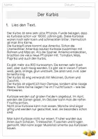 Vorschau - Arbeitsblätter - Der Kürbis: Lerntheke - Arbeitsblätter - Poster - Sachtexte - Gitterrätsel - Bildkarten - Seite 3