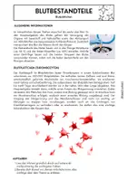 Vorschau - Arbeitsblätter - Blutbestandteile Gruppenpuzzle Biologie 8-10 differenziert - Seite 3