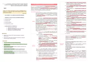 Vista previa - Evaluación - Oposiciones Pedagogía Terapéutica: esquema tema 12 - página 2