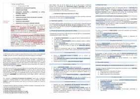 Vista previa - Evaluación - Oposiciones Pedagogía Terapéutica: esquema tema 12 - página 3