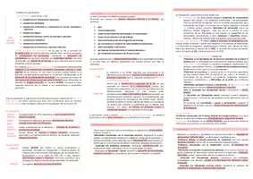 Vista previa - Evaluación - Oposiciones Pedagogía Terapéutica: esquema tema 13 - página 3