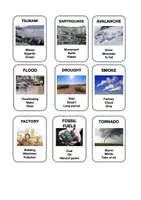 Aperçu - Jeux - Guess it Natural Disasters - Page 1