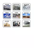 Aperçu - Jeux - Guess it Natural Disasters - Page 3