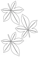 Vorschau - Mal- und Bastelvorlagen - Gestalte deinen Herbstkranz - 18 herbstliche Cliparts - Seite 2