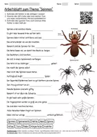 Vorschau - Arbeitsblätter - Lernposter + Arbeitsblatt "Spinnen" + Onlineübung & MP3 + Mindmap + Infografik - Seite 1