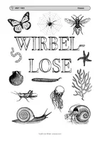 Vorschau - Mal- und Bastelvorlagen - Cover Thema Wirbellose (Paket) - Deckblatt