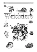 Vorschau - Mal- und Bastelvorlagen - Cover Thema Wirbellose (Paket) - Seite 3