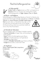 Vorschau - Arbeitsblätter - Nachtschattengewächse - Infoblatt - Deckblatt