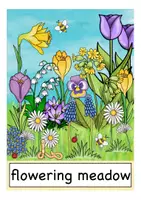 Vista previa - Decoración del aula - spring flowers picture + word cards English Inglés - página 1