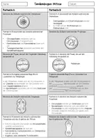 Vorschau - Arbeitsblätter - Tandembogen zur Wiederholung der Mitose - Deckblatt