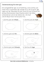 Vorschau - Arbeitsblätter - Igel - Aussehen des Igels und Zeichenanleitung - Seite 1