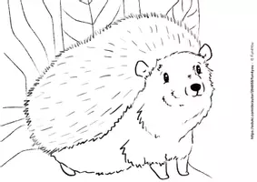 Vorschau - Arbeitsblätter - Der Igel - Forscherheft (leere Vorlage) - Seite 1