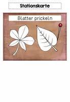 Vorschau - Stationenlernen - Vorlage: Herbstblätter prickeln - Seite 3