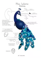 Vorschau - Mal- und Bastelvorlagen - Kunst/ Pfau Laterne - Anleitung und Kopiervorlagen - Seite 3