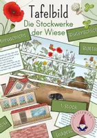 Vorschau - Stundenentwürfe - XXL Materialpaket: Die Wiese/ Der Lebensraum Wiese - Seite 1