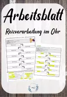 Vorschau - Arbeitsblätter - Materialpaket: Reizverarbeitung im Ohr - Seite 1
